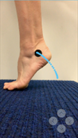 example of the Calf Raise Application